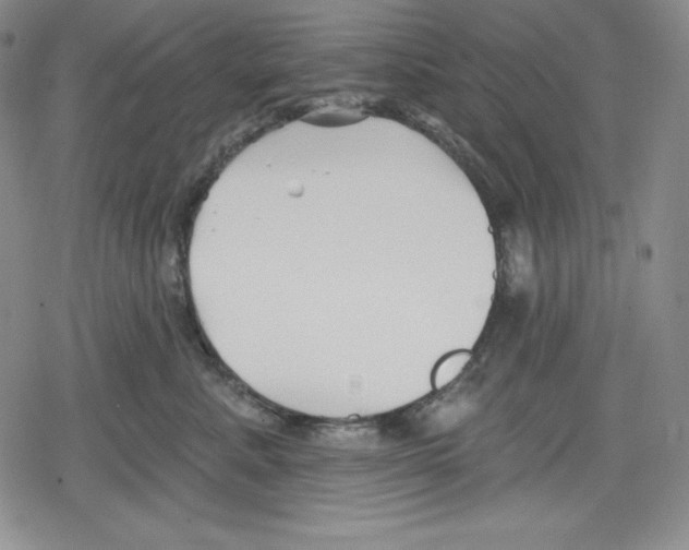 X0000078830619200612111521