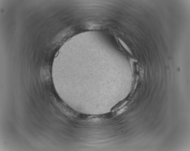 X0000078830620200612111521