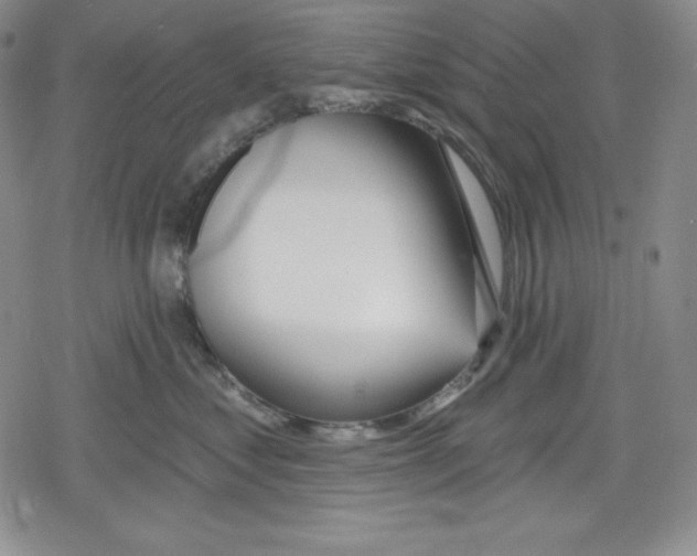 X0000078830621200612111521