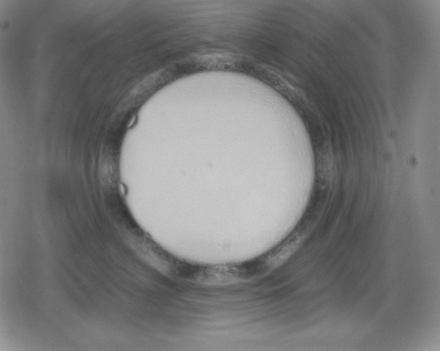 X0000078830622200612111521