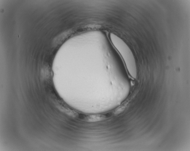 X0000078830623200612111521