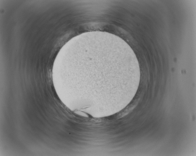 X0000078830624200612111521