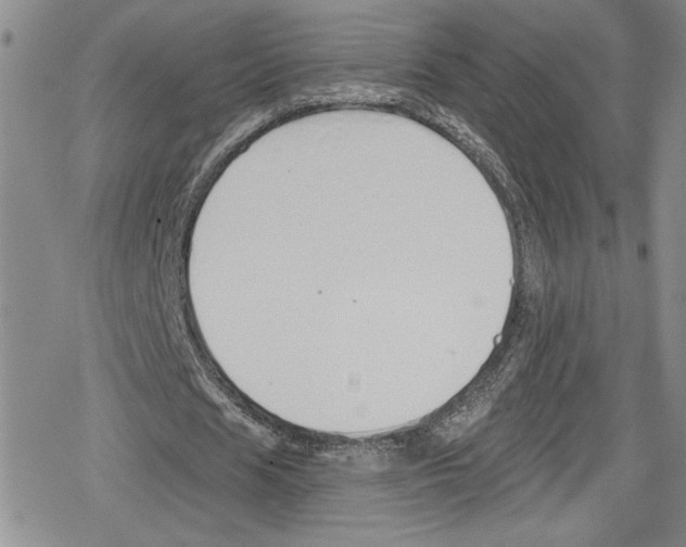 X0000078830625200612111520