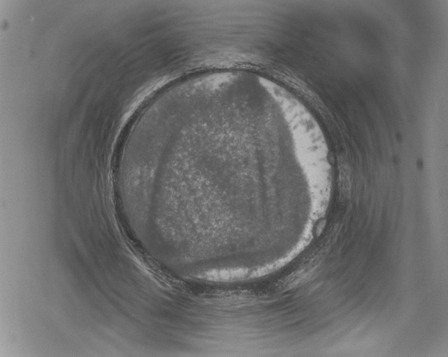 X0000078830626200612111520