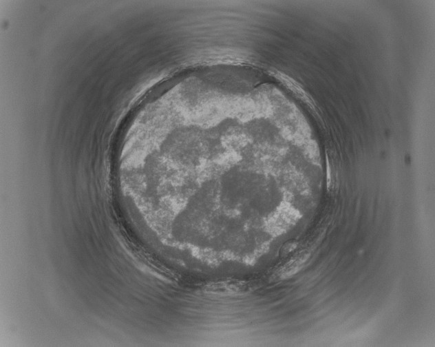 X0000078830627200612111520