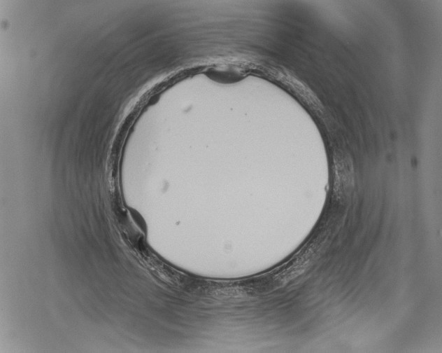 X0000078830628200612111520