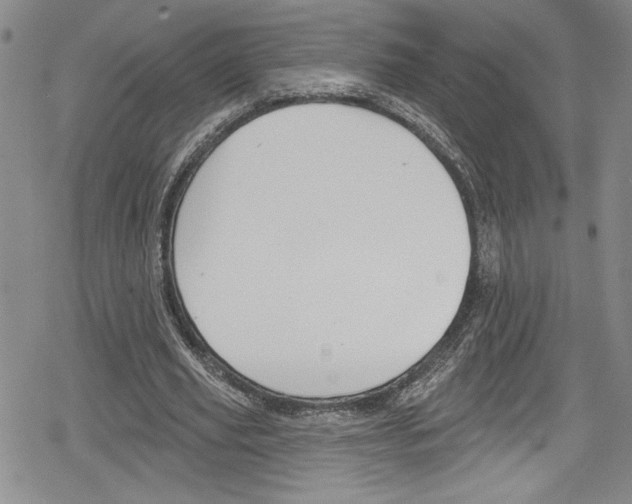 X0000078830629200612111520