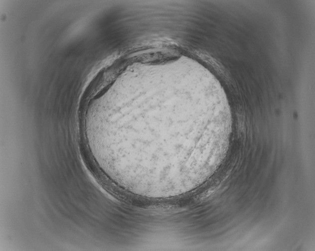 X0000078830630200612111520