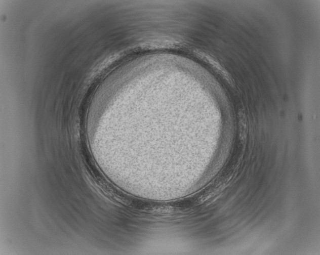 X0000078830631200612111520