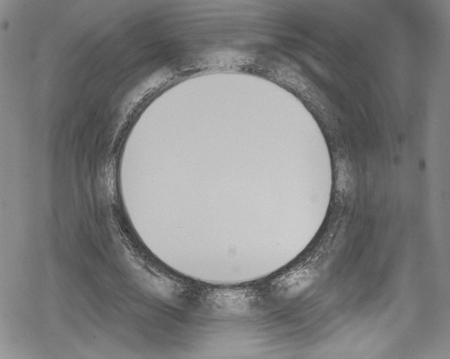 X0000078830632200612111520