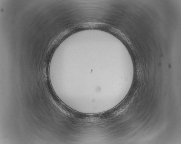 X0000078830633200612111520