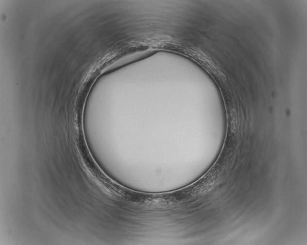 X0000078830634200612111520