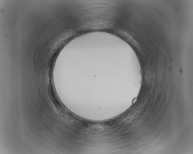 X0000078830635200612111520