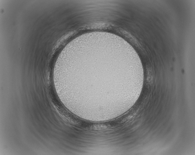 X0000078830636200612111520