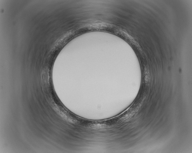 X0000078830637200612111520