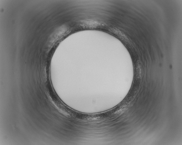 X0000078830638200612111520