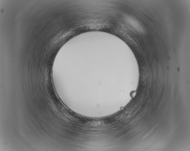 X0000078830639200612111520