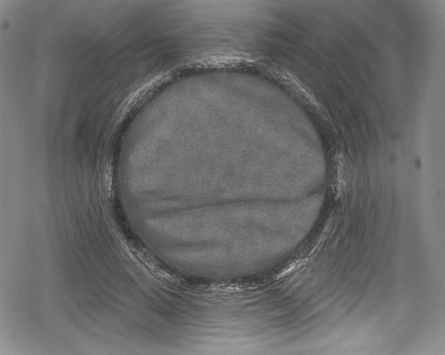 X0000078830640200612111520