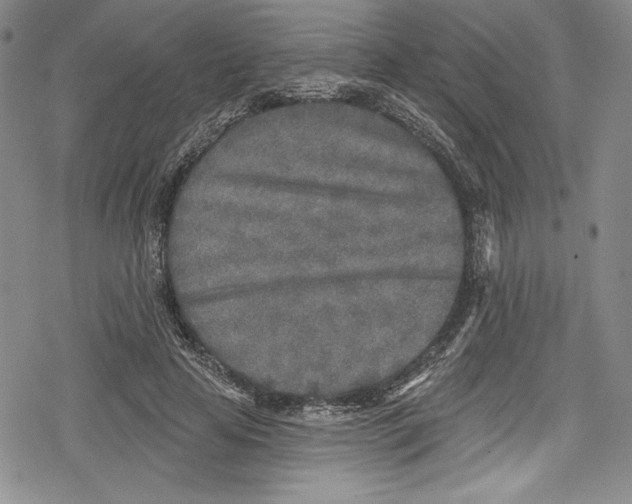 X0000078830641200612111520