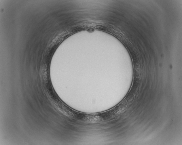 X0000078830642200612111520