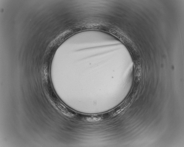 X0000078830644200612111520