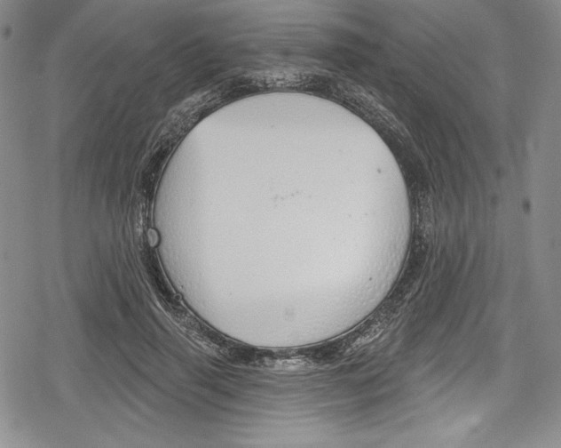 X0000078830645200612111520