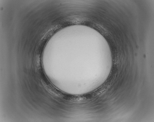 X0000078830646200612111520