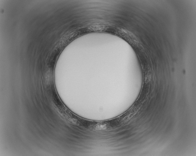 X0000078830647200612111521