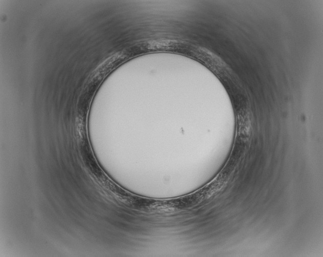 X0000078830648200612111521