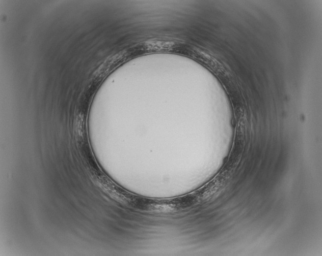 X0000078830649200612111521