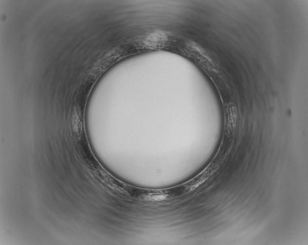 X0000078830651200612111521