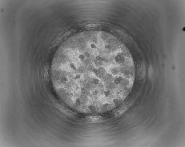 X0000078830654200612111521