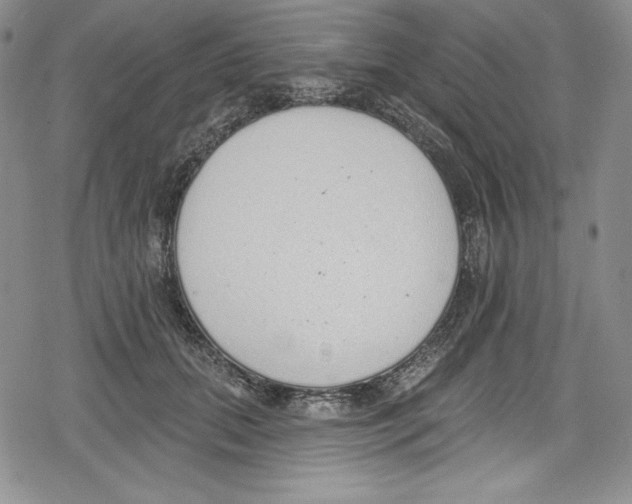 X0000078830655200612111521