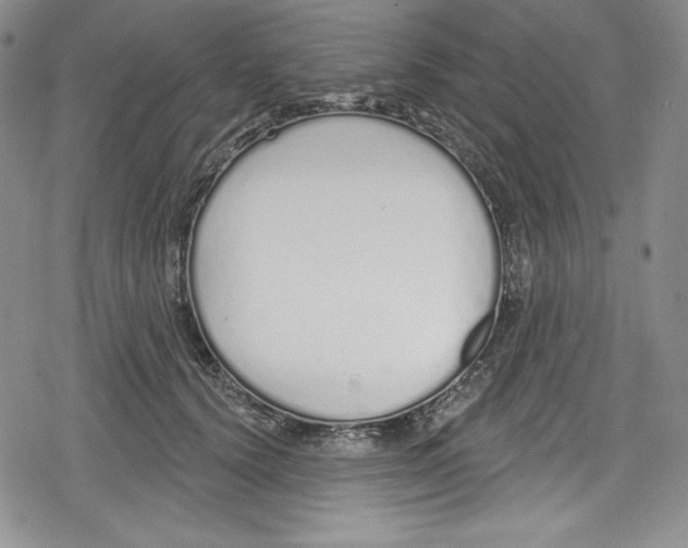 X0000078830656200612111521