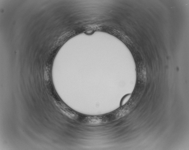 X0000078830658200612111521