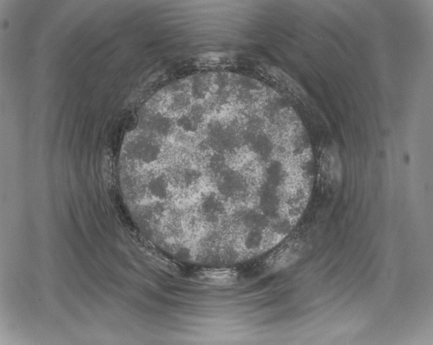 X0000078830659200612111521