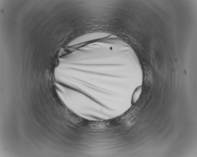 X0000078830661200612111521