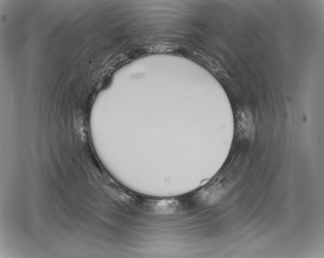 X0000078830663200612111521