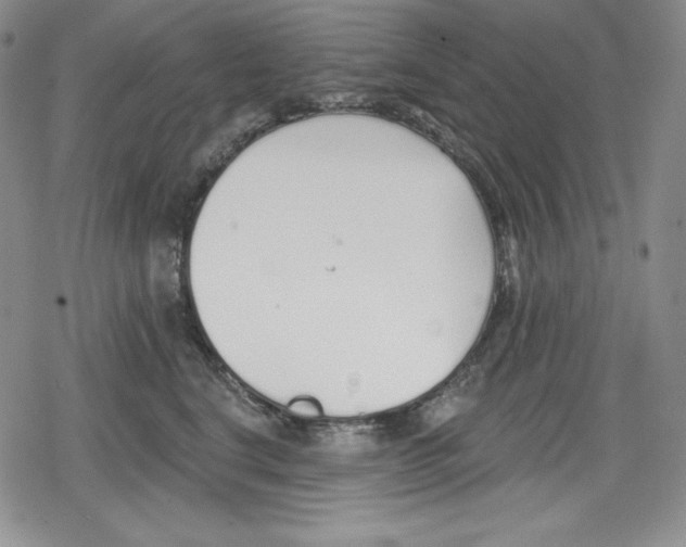 X0000078830664200612111521