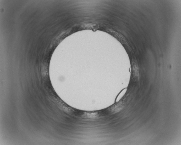 X0000078830665200612111521