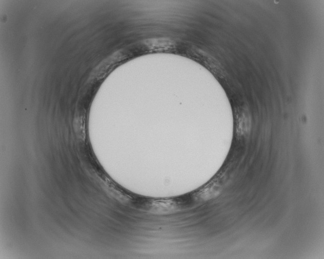 X0000078830666200612111521