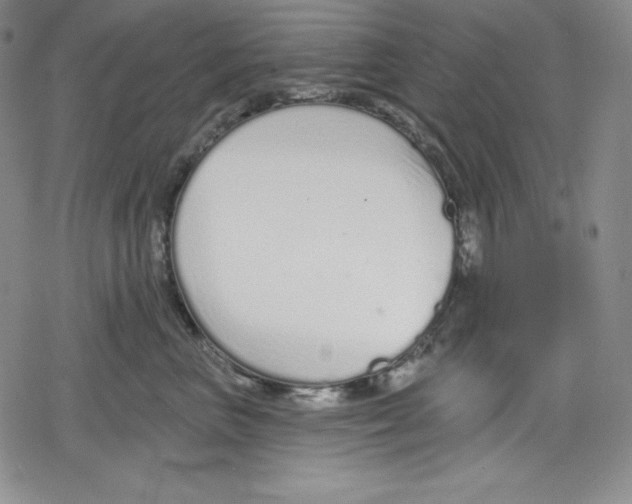 X0000078830667200612111521