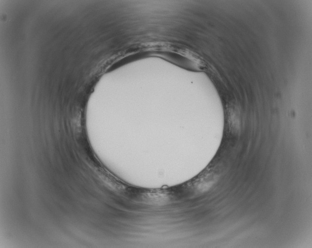 X0000078830668200612111521