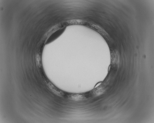 X0000078830669200612111521