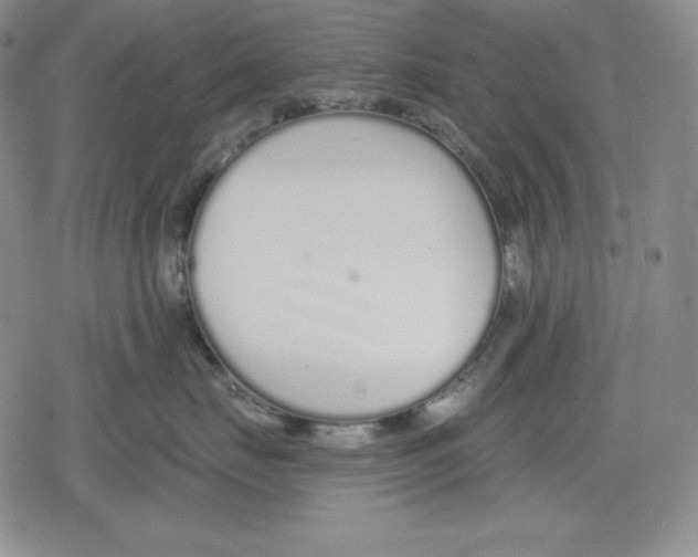 X0000078830671200612111521