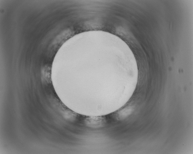 X0000078830672200612111521