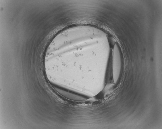 X0000078830673200612111520