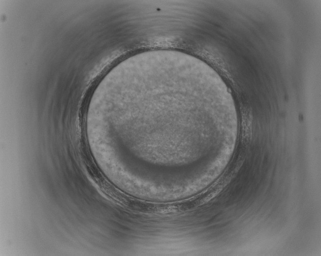 X0000078830674200612111520