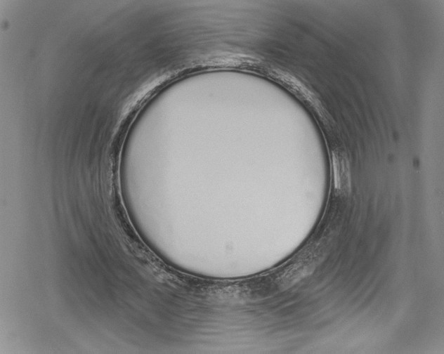 X0000078830675200612111520