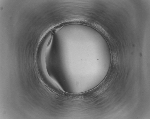 X0000078830676200612111520